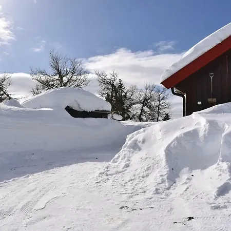 Cozy In With Kitchen Sjusjoen